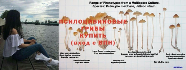 MESCALINE Балабаново